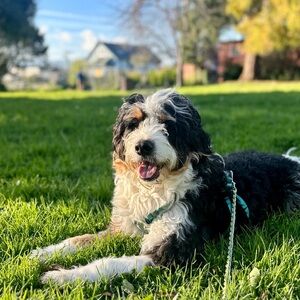 Meet your Posher, Isabelle